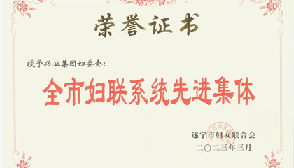 喜報！興業(yè)集團婦委會榮獲“全市婦聯(lián)系統(tǒng)先進集體”榮譽稱號
