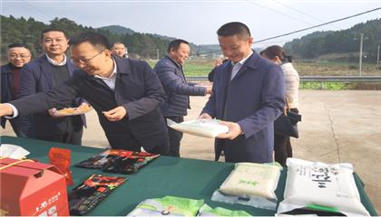 市委常委、政法委書記劉波濤帶隊調(diào)研指導(dǎo)定點幫扶村鄉(xiāng)村振興工作